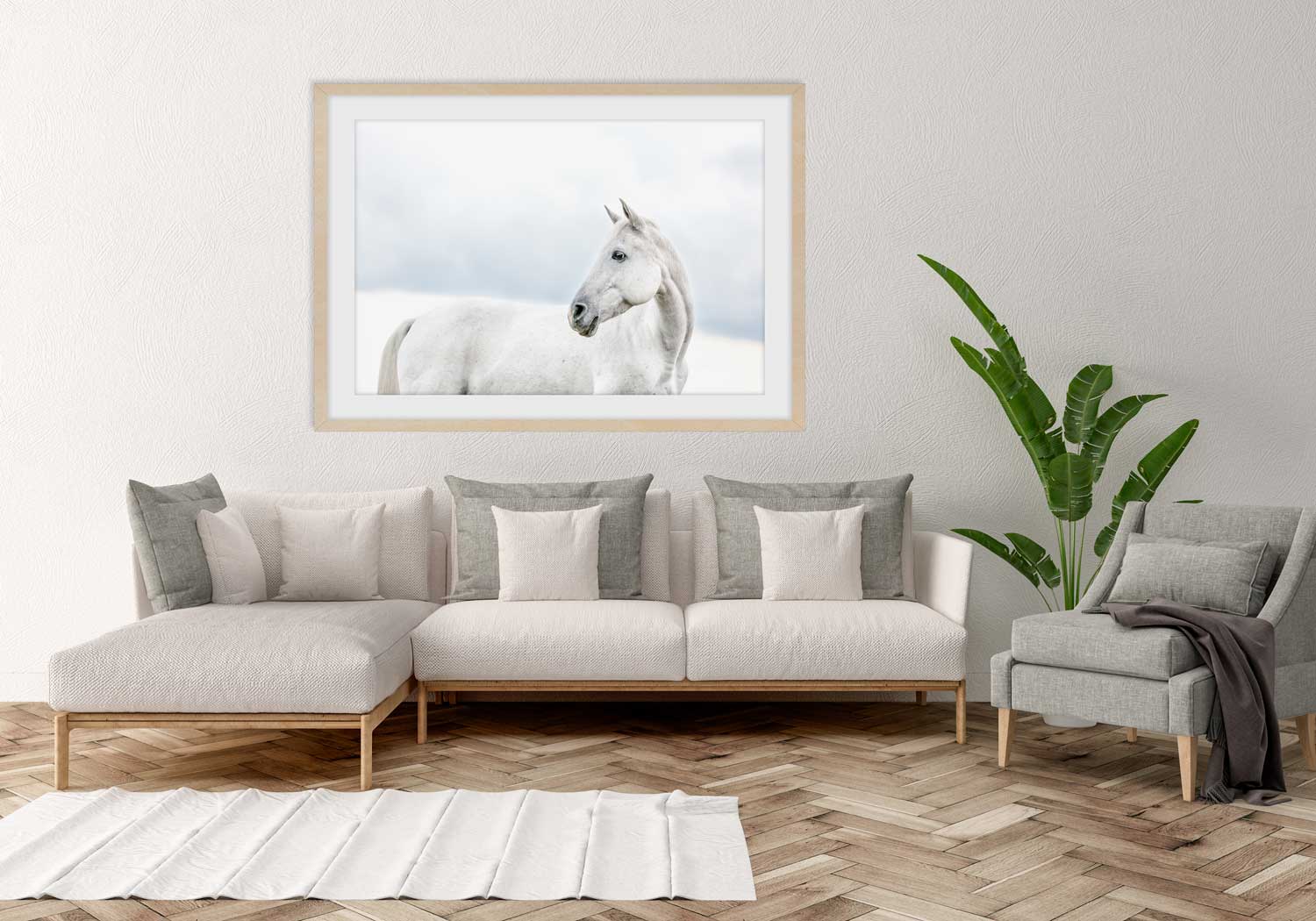 Head in the Clouds - Limited Edition Print