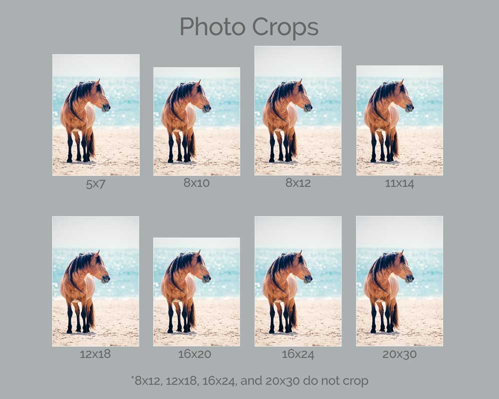 Best Friends - Photo Print