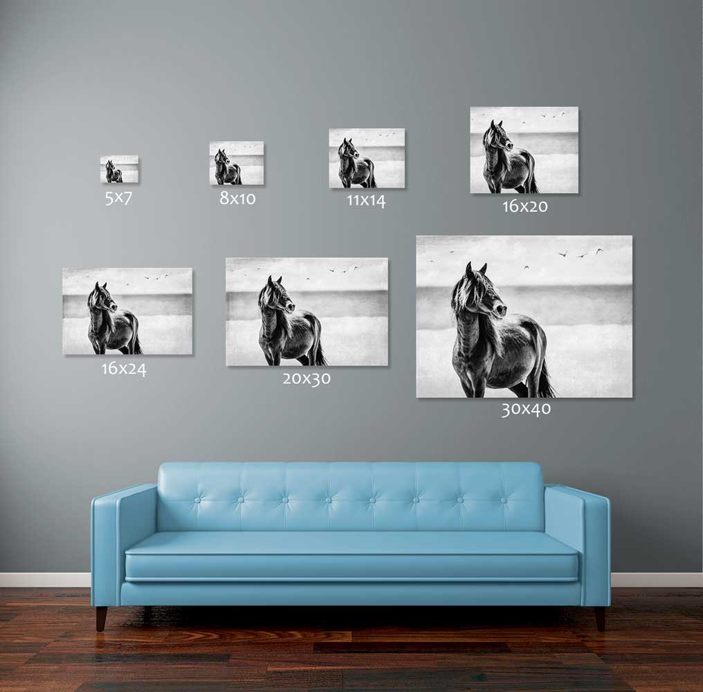 Best Friends - Photo Print